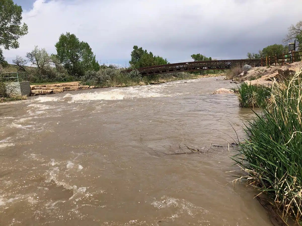 Uncompahgre River at Montrose Water Park